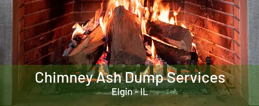 Chimney Ash Dump Services Elgin - IL