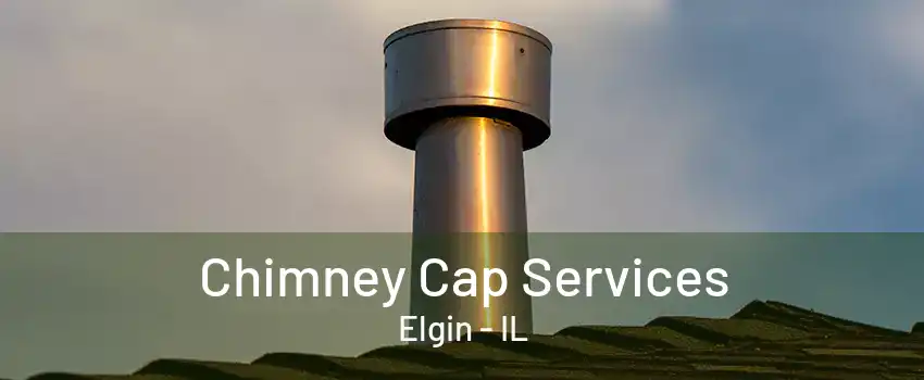 Chimney Cap Services Elgin - IL