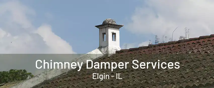 Chimney Damper Services Elgin - IL