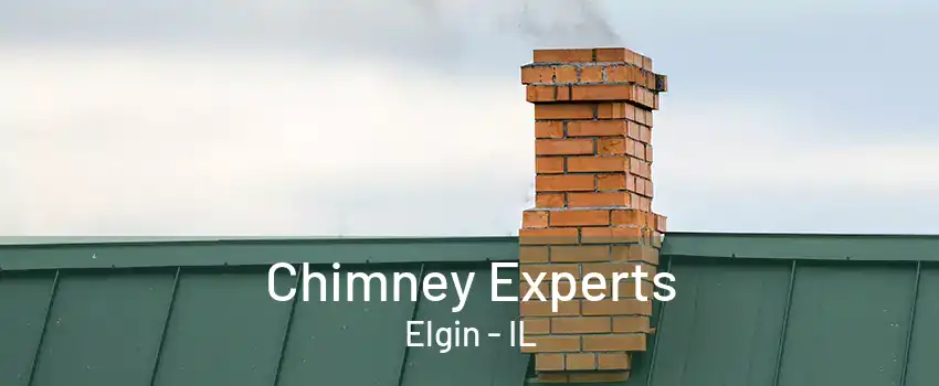 Chimney Experts Elgin - IL