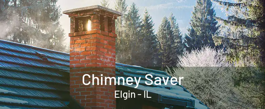 Chimney Saver Elgin - IL