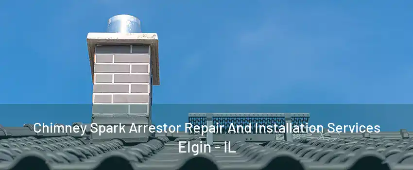 Chimney Spark Arrestor Repair And Installation Services Elgin - IL