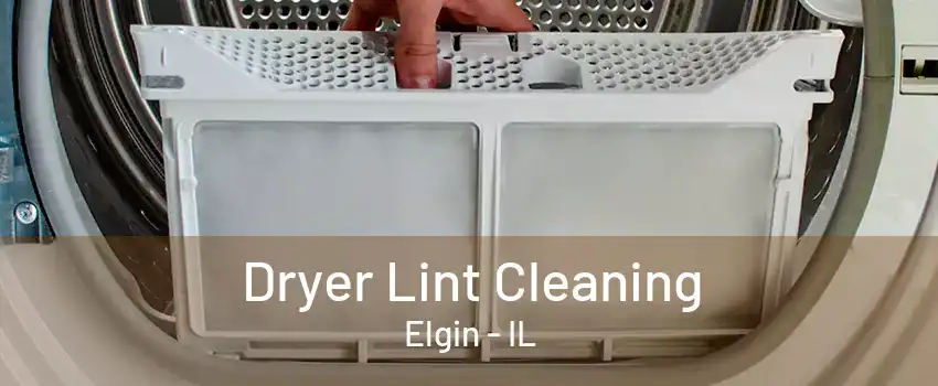 Dryer Lint Cleaning Elgin - IL