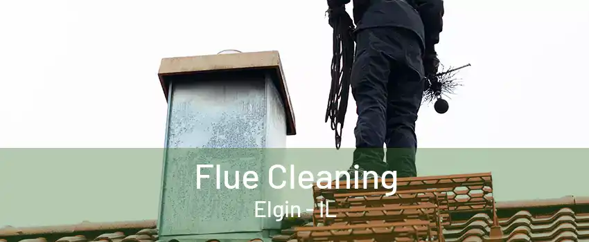 Flue Cleaning Elgin - IL