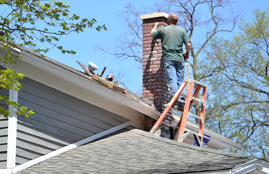 Chimney & Fireplace Inspections Services in Elgin, IL