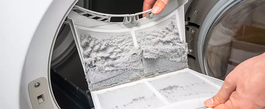 Best Dryer Lint Removal Company in Elgin, Illinois