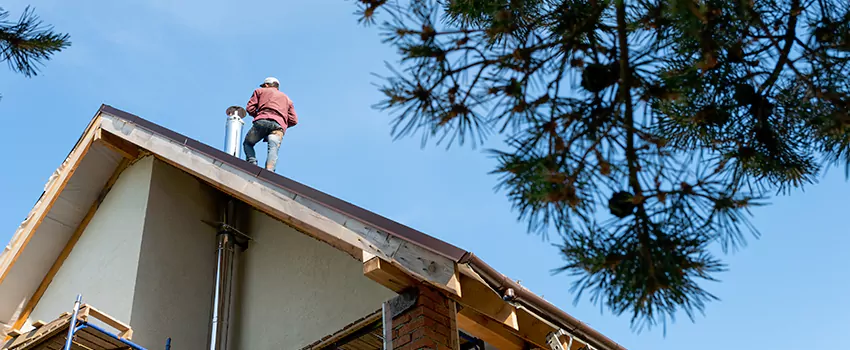 Birds Removal Contractors from Chimney in Elgin, IL