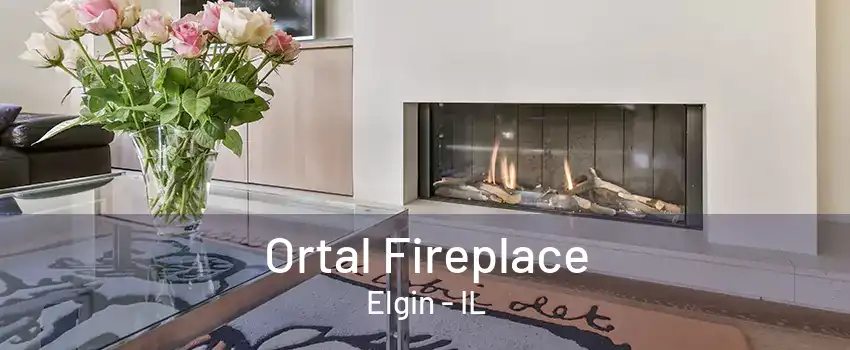 Ortal Fireplace Elgin - IL