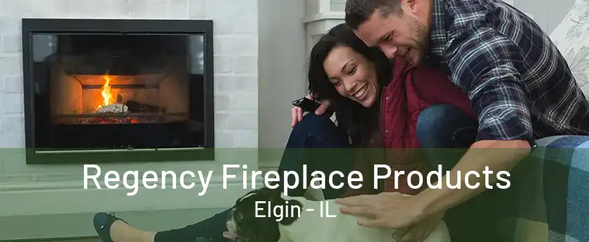 Regency Fireplace Products Elgin - IL